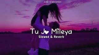Tu Jo Mileya |Official Video |Juss xMixSingh |New Punjabi Love Song 2026| Latest Punjabi Song 🙏🏻 