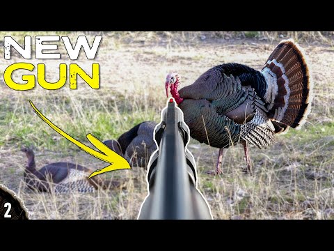 OPENING Weekend SUCCESS with My NEW 28 Gauge! | Turkey Hunting 2025