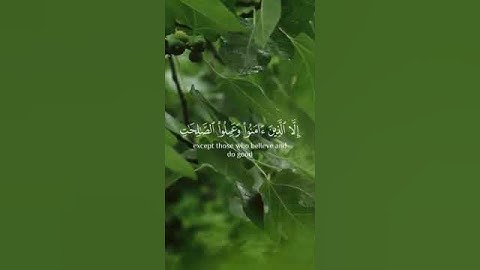 سورة التين - بصوت الشيخ أحمد العجمي
