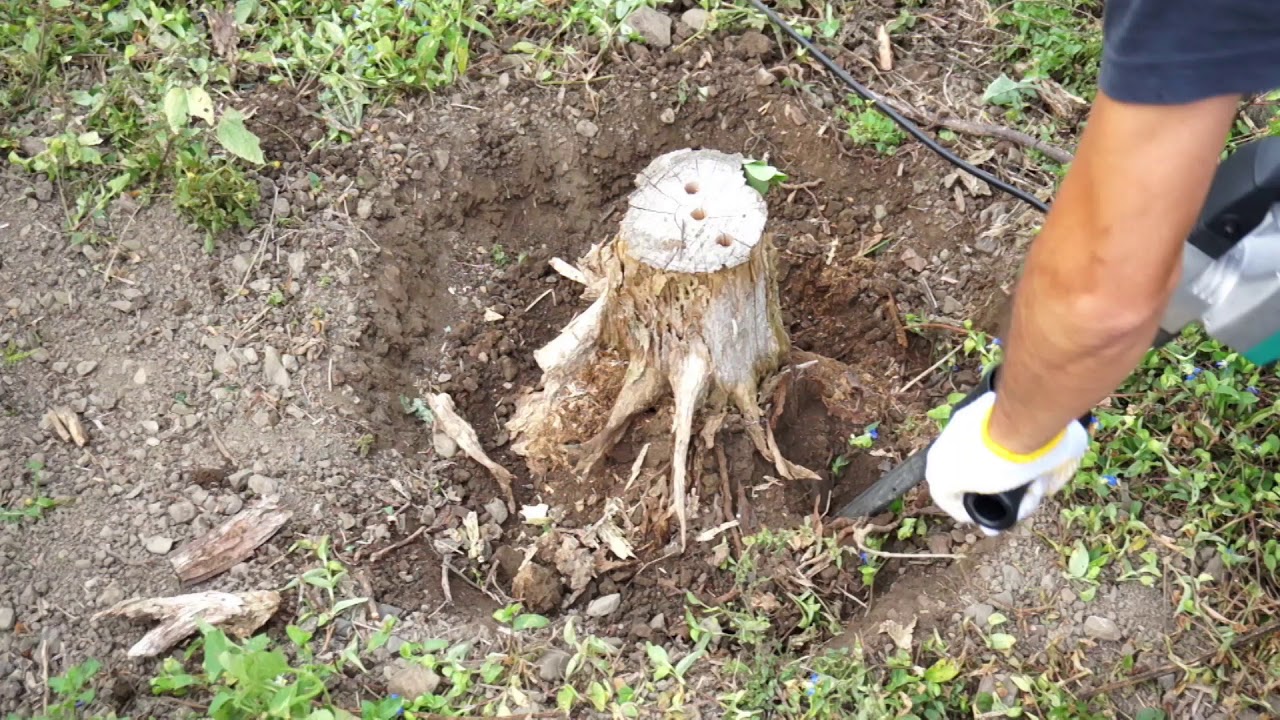 コンクリートハンマーにスコップつけて切り株を除去してみた。 - YouTube