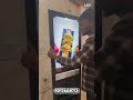 I type standee best advertisement product tech led