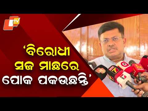 Pritiraj Harichandan Defends UPI Rules, Says Opposition Claims Are Misleading