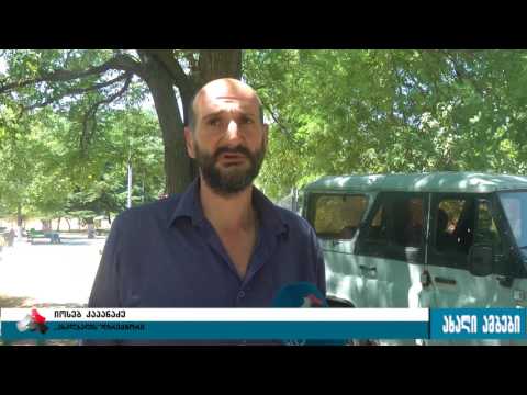 ოპოზიცია გორში ხეების მორწყვას ითხოვს