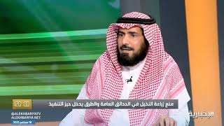 د. أحمد الغامدي لـ #برنامج_120: يجب تجنب زراعة شجرة البزروميا