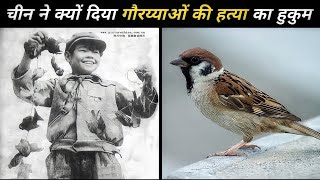 Amazing Facts About China Facts Khojer Deadly Incident Occurred In China