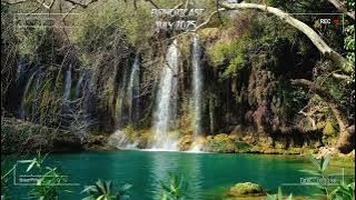 Euphoricast - #96 (July 2025) [HQ Mix]