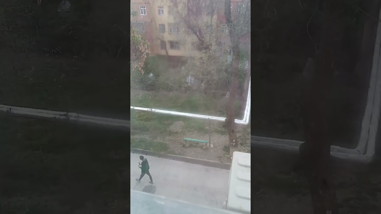 17 марта 2023 г.