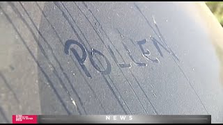 New Orleans Ranked 2nd Worst City for Seasonal Allergies | Dr. Reena Mehta | Uptown Allergy & Asthma