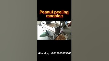 Industrial Peanut Peeler at Full Speed! 🚀#peanut #peeler