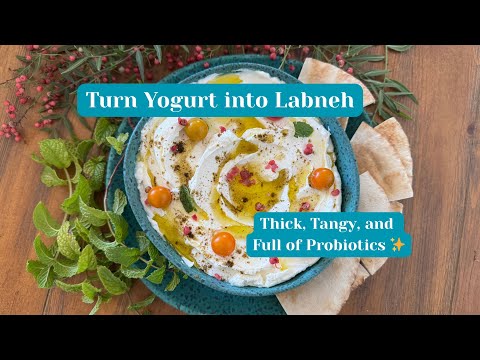 How To Make Probiotic Labneh