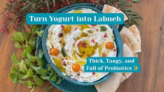 How To Make Probiotic Labneh