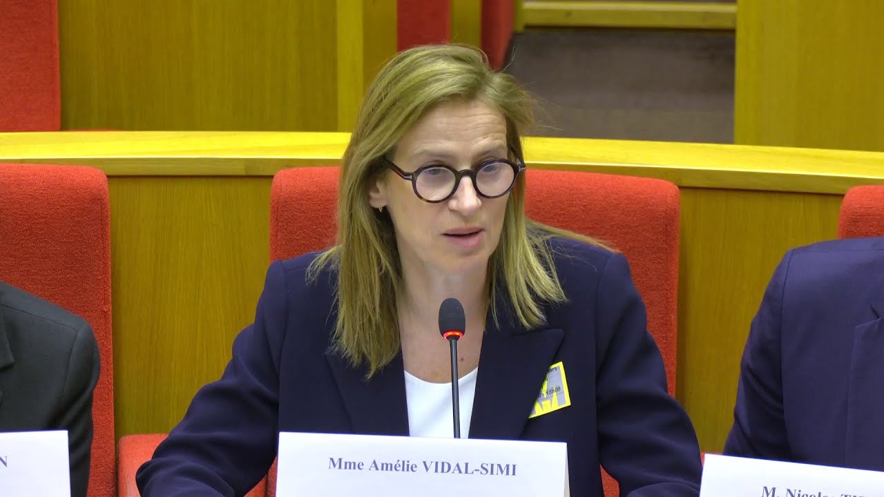 « Les hausses de prix ne reflètent pas un enrichissement des industriels », assure au Sénat Mondelez