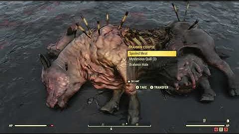 Cranberry Bog Object Random Encounter Hotspot #11 - Fallout 76