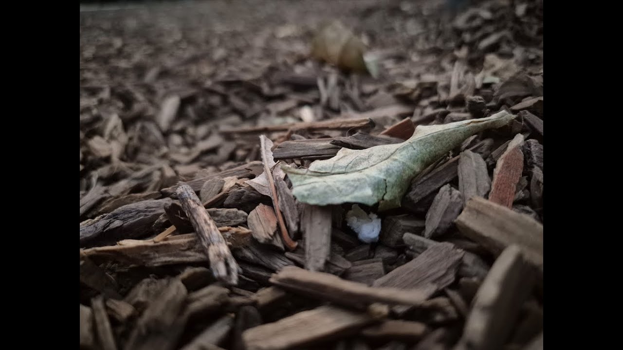 Proyecto Fotonarrativa - Ian Peláez Franco