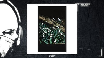 Mob Killa - Look [duploc.com premiere]