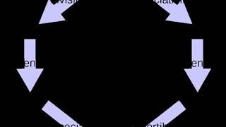 Loop (mathematics) | Wikipedia audio article