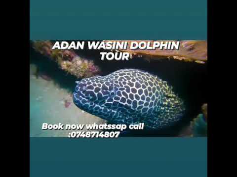 Welcome All To Wasini Island Home Of Dolphins TWENDE WASINI Enjoy Your Day With Us WASINI RAHA 