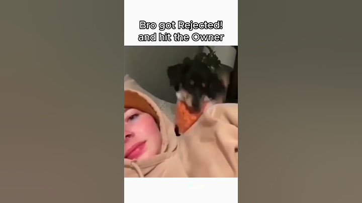 She rejected the dog affection
