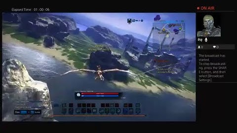 Brawler in TERA Leveling up