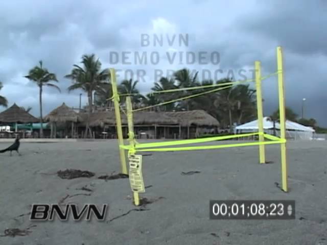 7/27/2006 Sea Turtle Nest Video, Venice Beach FL Sea Turtle Nest