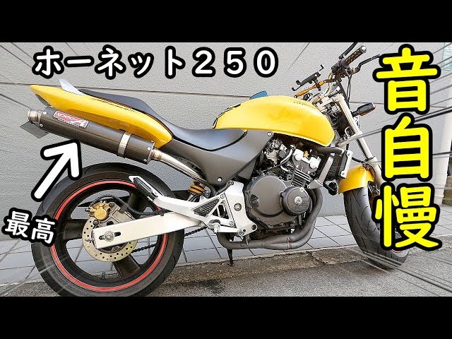 ホーネット250の紹介【マフラー音最高】HORNET250 - YouTube