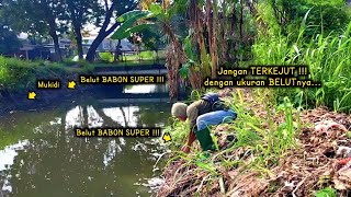 Pasti Hasil Cara Mencari Lubang Belut Super Besar Di Sungai