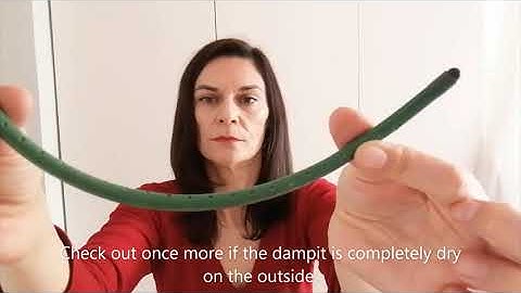 How to use | Kako koristiti DAMPIT