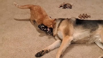 Immovable object - Unstoppable force