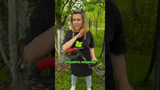 Как защититься от клещей на даче?
