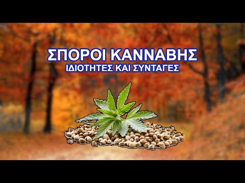 Σπόροι Κάνναβης - Ιδιότητες και Συνταγές