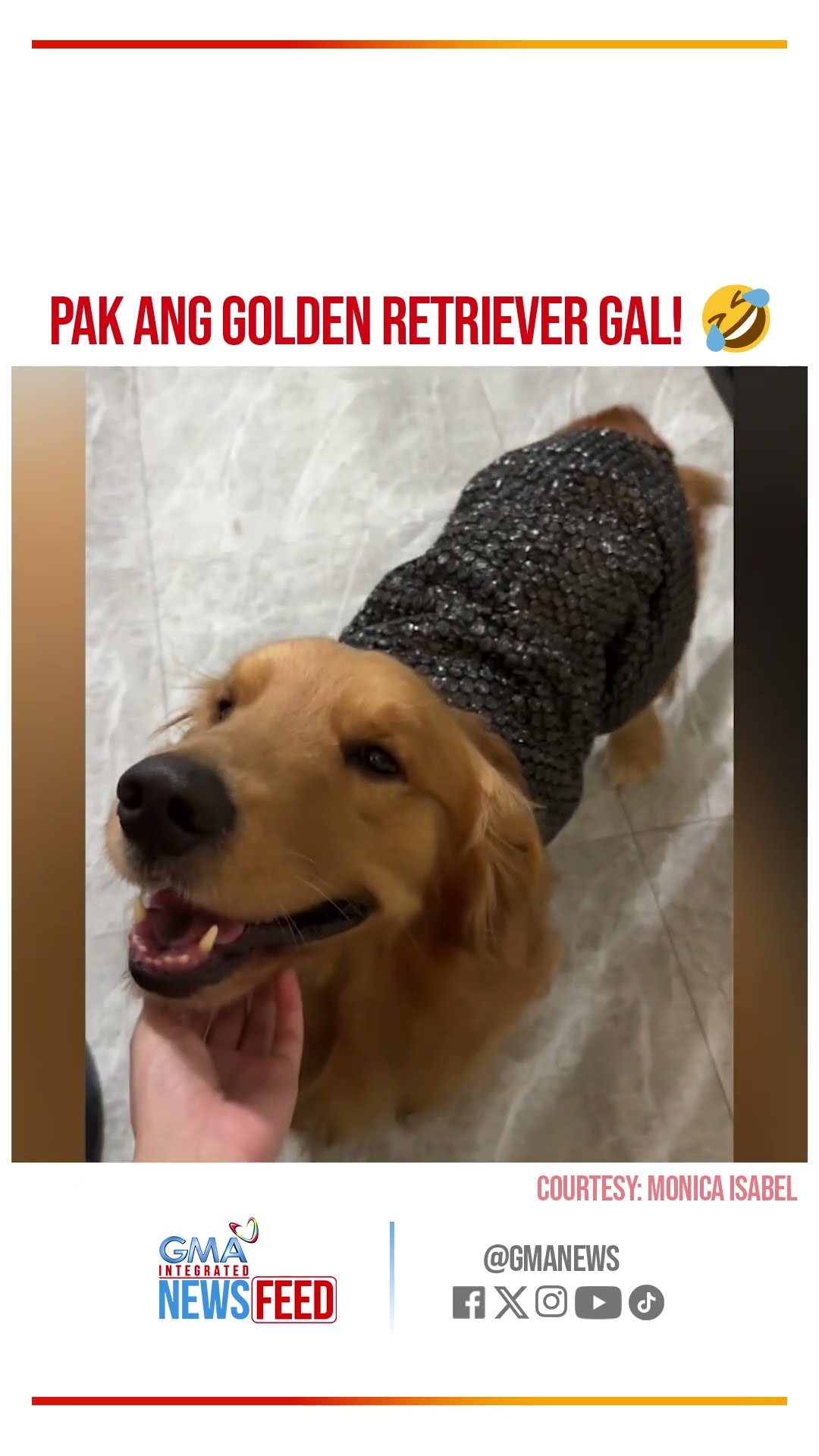 Asong inggitera, ginwang outfit ang bubble wrap | GMA Integrated Newsfeed Bytes