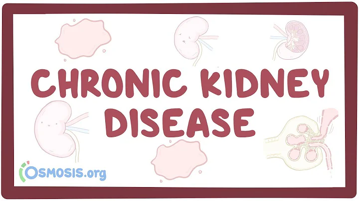 Chronic kidney disease - causes, symptoms, diagnosis, treatment, pathology - DayDayNews