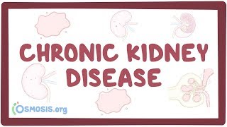 Chronic kidney disease  causes, symptoms, diagnosis, treatment, pathology