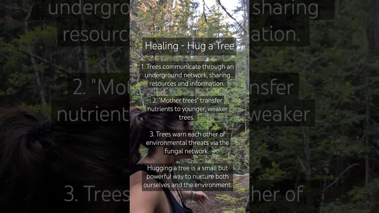 Reduce Anxiety - Hug a Tree