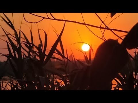 بلدة الصبحة في ريف دير الزور الشرقي جزيرة