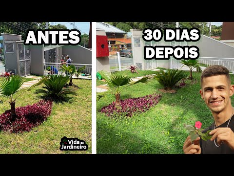 Vídeo: O que é aeração do solo: como arejar o solo no jardim