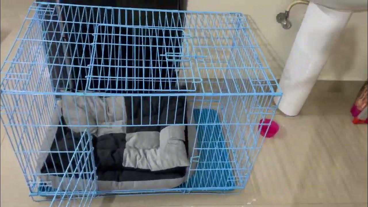 Beagle Puppy Crate, best crate for all puppies YouTube