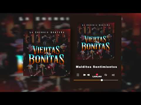 Malditos Sentimientos