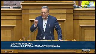 Σ. Φάμελλος (Πρόεδρος ΣΥ.ΡΙΖ.Α) (Προκαταρκτική εξέταση για ΟΠΕΚΕΠΕ)(30/07/2025)