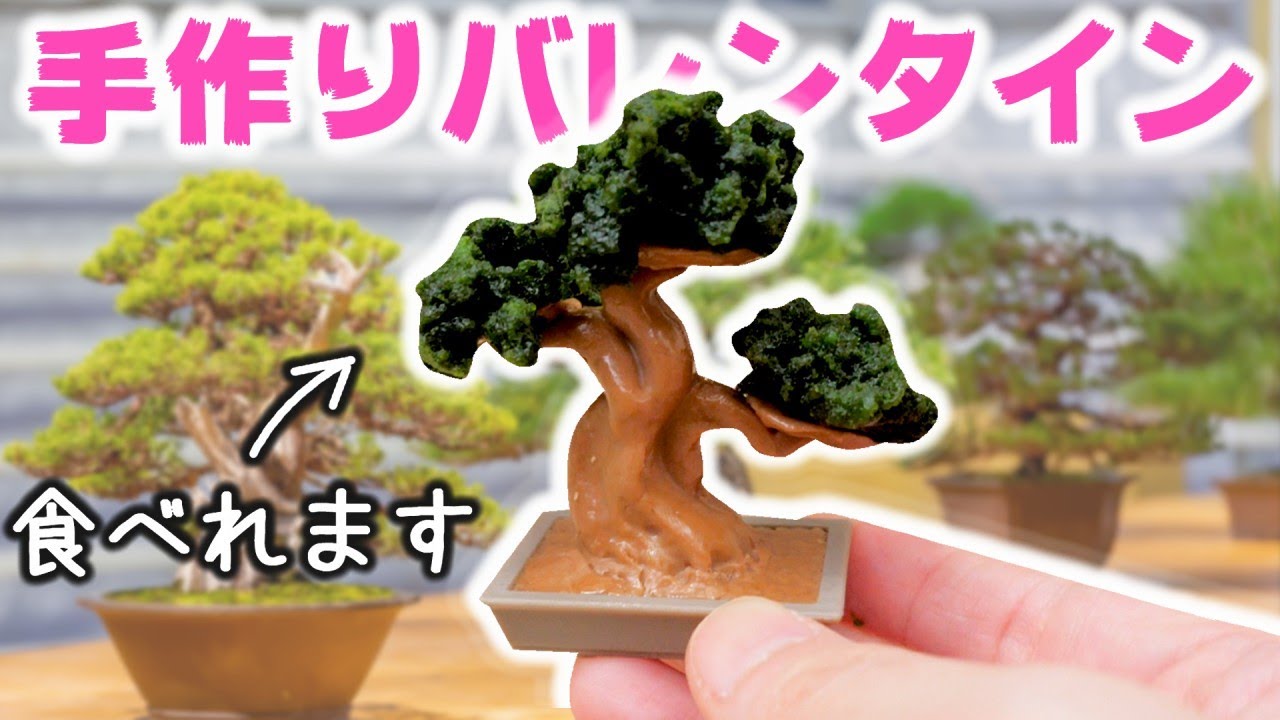 大失敗 バレンタイン 食べれるミニチュア お菓子で盆栽のスイーツ作ってみた 手作り チョコ Mini Food Youtube