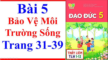 Đạo Đức Lớp 5 Bài 5 | Bảo Vệ Môi Trường Sống | Trang 31 – 39 | Kết Nối Tri Thức