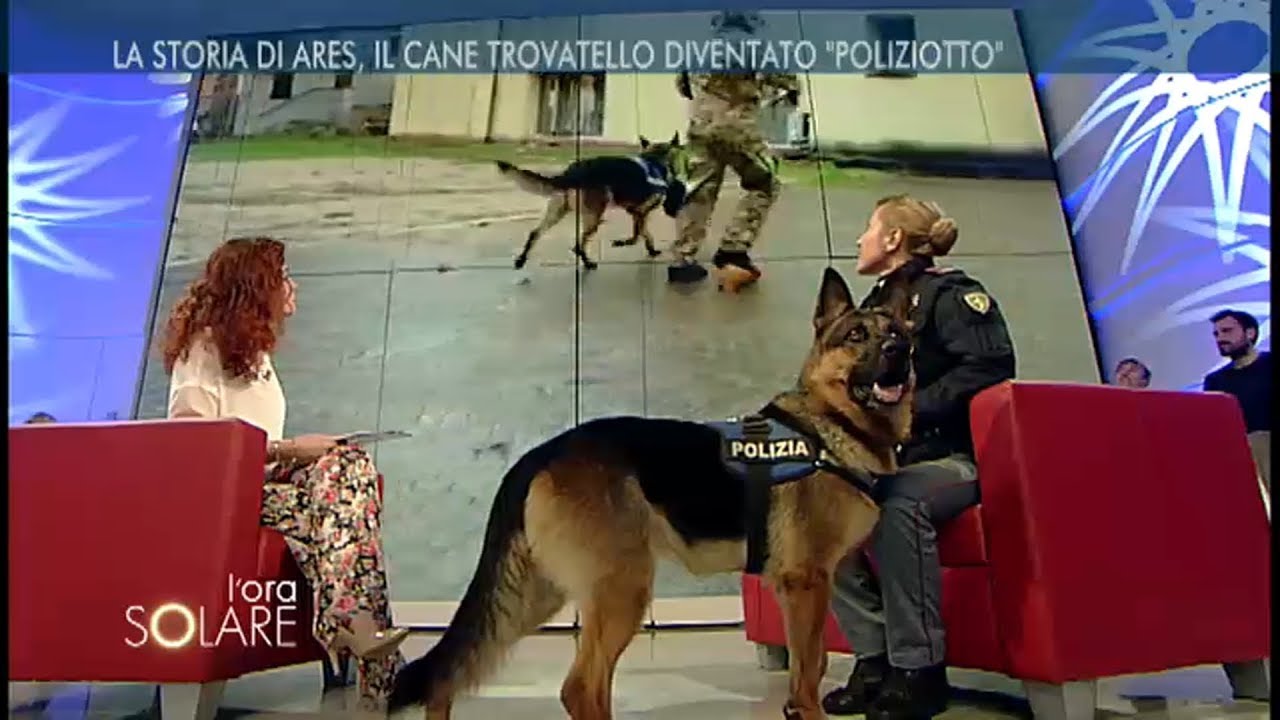 Claudia Zilio, squadra cinofili Polizia di Stato