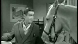 mr ed 01