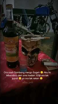 Terbaru story wa cb herex #herex_indonesia