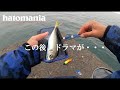 近所の波止場でデカアジを泳がせてみたら、とんでもないことに・・・【12月 大阪湾 ノマセ釣り 泳がせ釣り】Blue-backed fish