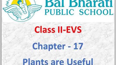 II EVS Chapter 17 Plants are Useful Part 2