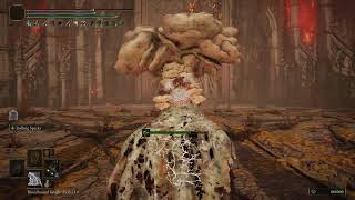 2 shots - Godfrey, First Elden Lord - Perfume Bottle Build - Elden Ring 2024 - NG+6 -