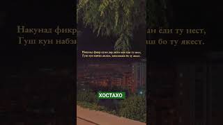 Гуш Кун набзи дилам🫀 #top #tajikistan #like #dushanbe #топ #russia #tiktok #душанбе #love #dubai