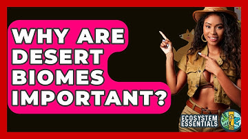 Why Are Desert Biomes Important? - Ecosystem Essentials