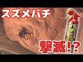 スズメバチ駆除作戦①【ハチ・アブバズーカジェット/フマキラー】